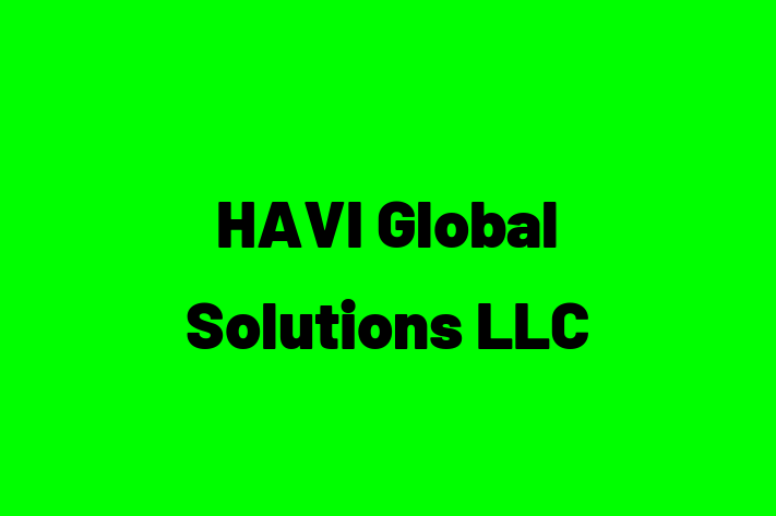 IT Company HAVI Global Solutions LLC