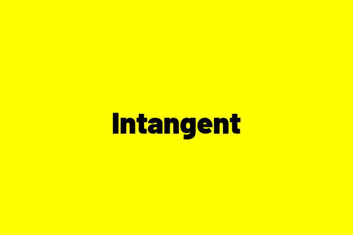 Technology Company Intangent