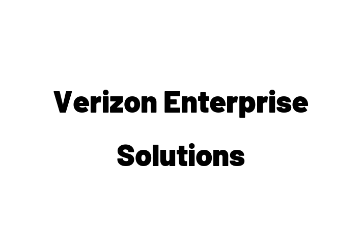 Software Services Company Verizon Enterprise Solutions