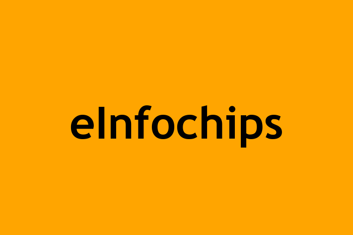 IT Company eInfochips