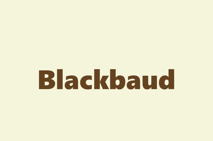 IT Company Blackbaud