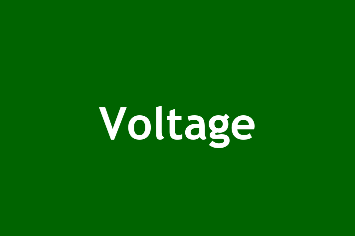 Employee Relations Voltage