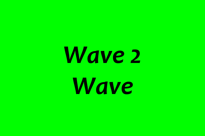 Technology Company Wave 2 Wave