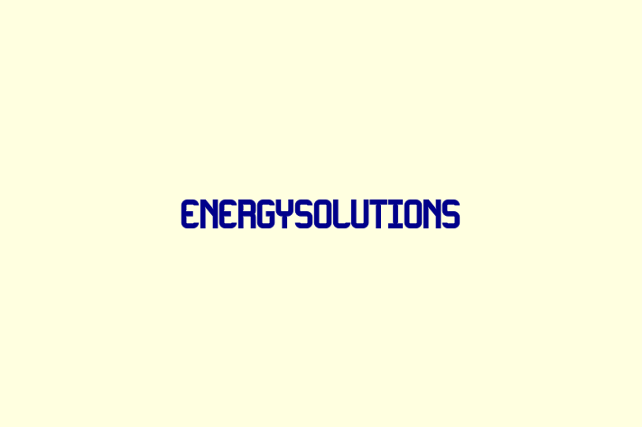 Talent Management EnergySolutions