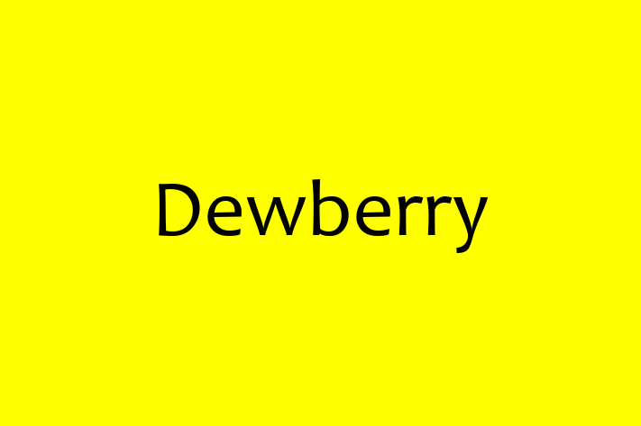 Technology Company Dewberry