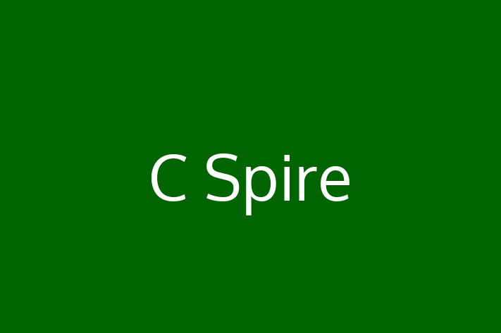 Software Solutions Provider C Spire