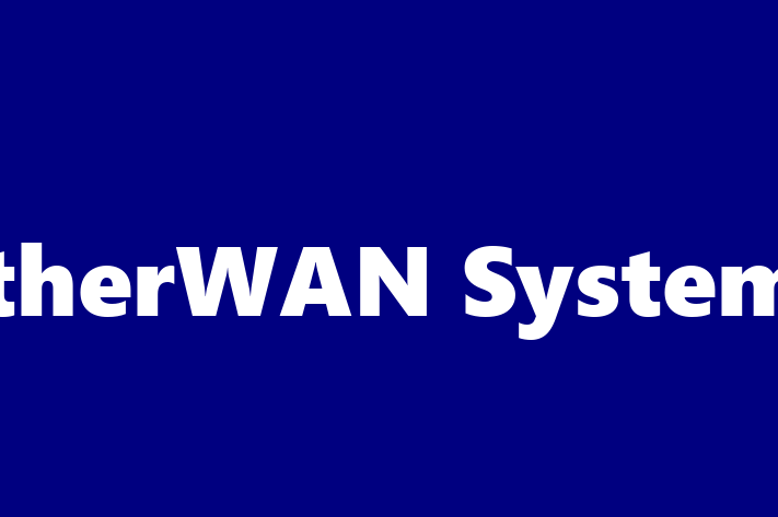 Software Development Firm EtherWAN Systems