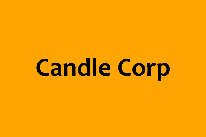 Technology Solutions Firm Candle Corp