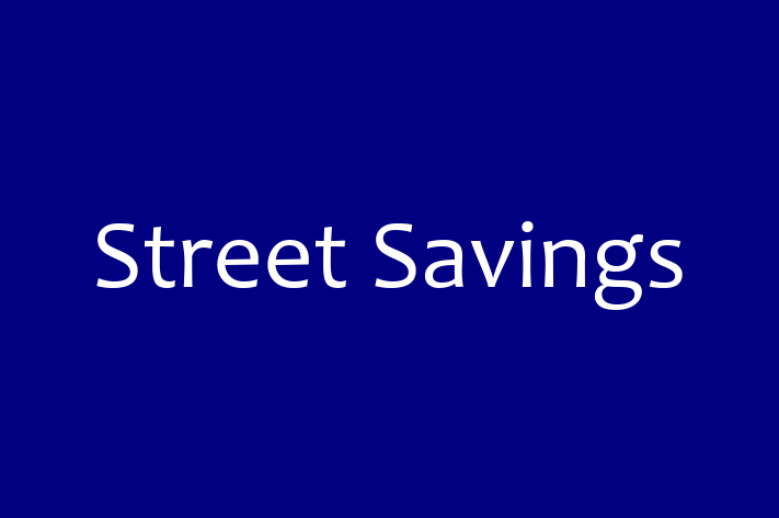 Software Engineering Company Street Savings