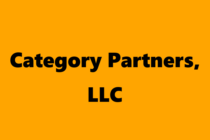 Software Solutions Provider Category Partners LLC