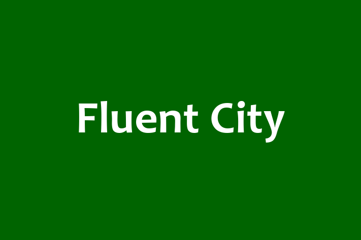 Digital Solutions Provider Fluent City