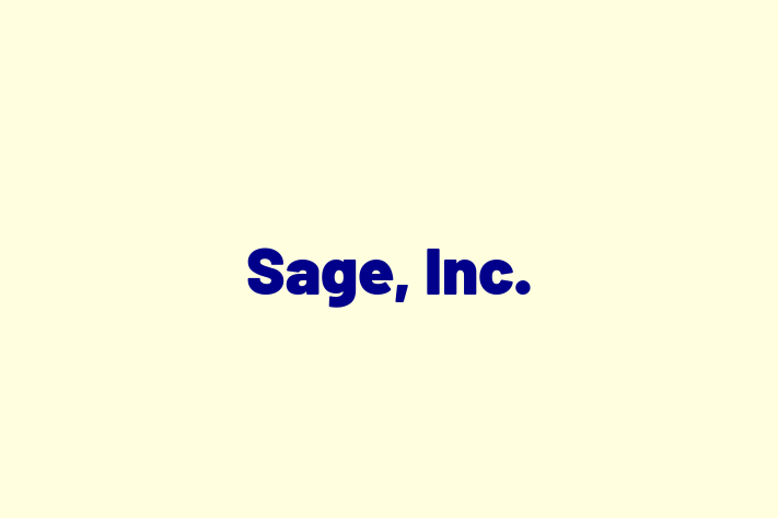 Technology Solutions Firm Sage Inc.