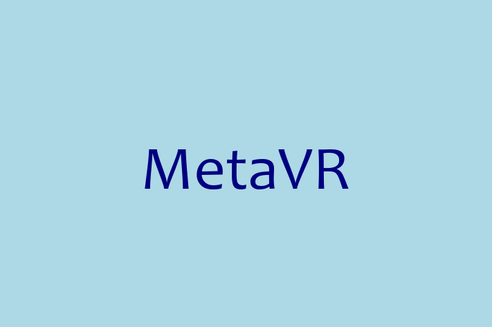 Software Development Company MetaVR