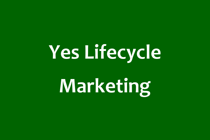 Tech Solutions Company Yes Lifecycle Marketing