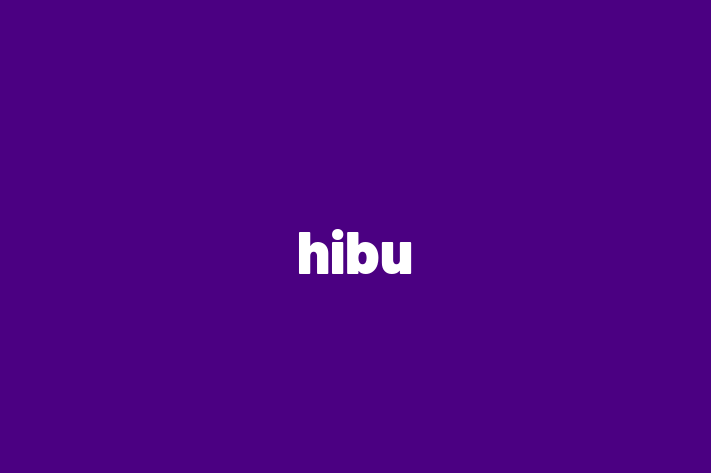 Software Development Firm hibu