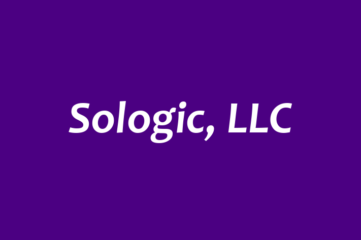 IT Company Sologic LLC