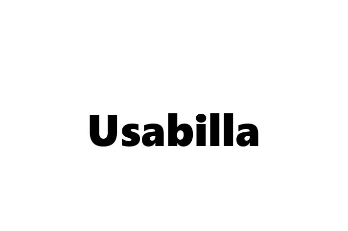 Tech Firm Usabilla