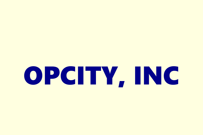 Tech Solutions Company OPCITY INC