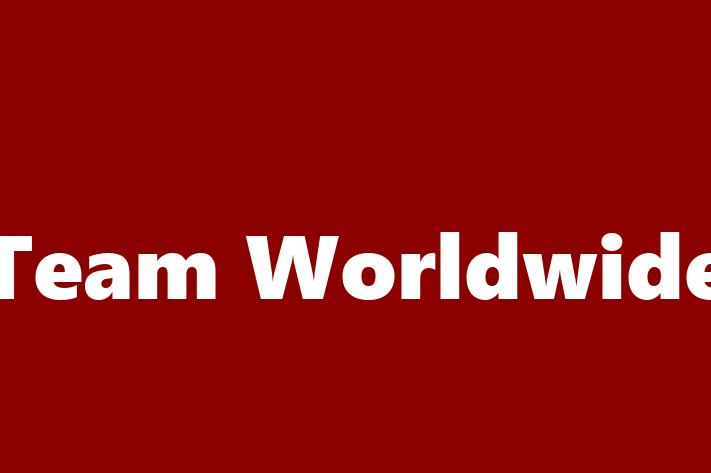 Software Development Company Team Worldwide