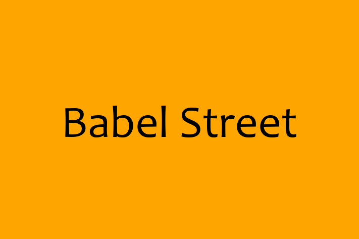 IT Company Babel Street