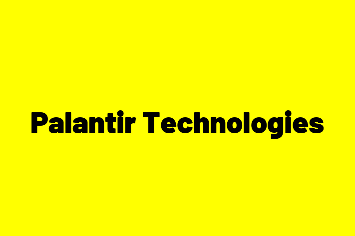 Software Consultancy Palantir Technologies