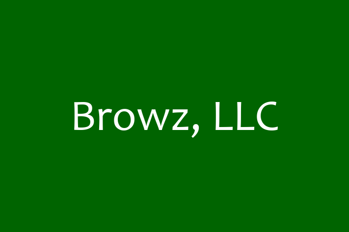 Technology Company Browz LLC