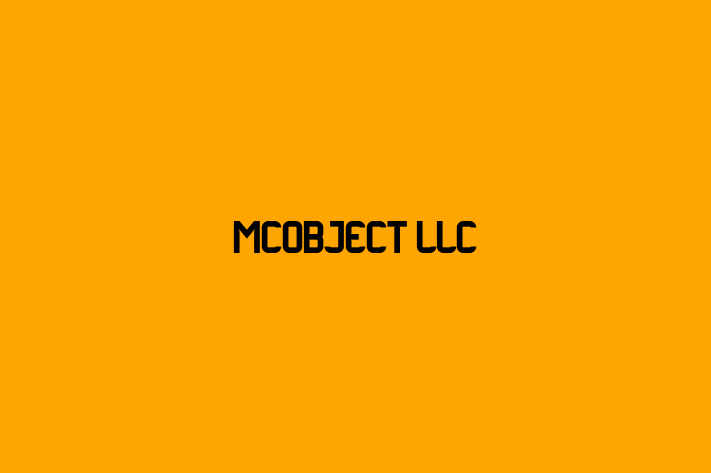 Software House McObject LLC