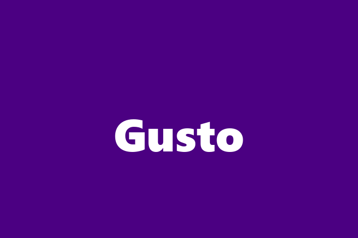 Software Development Firm Gusto