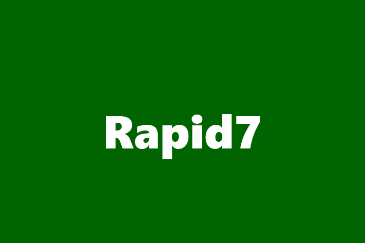 Technology Solutions Firm Rapid7