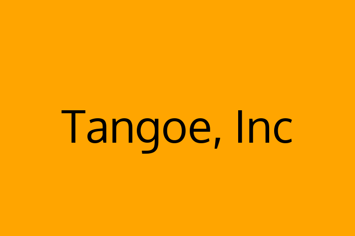 Software Services Company Tangoe Inc