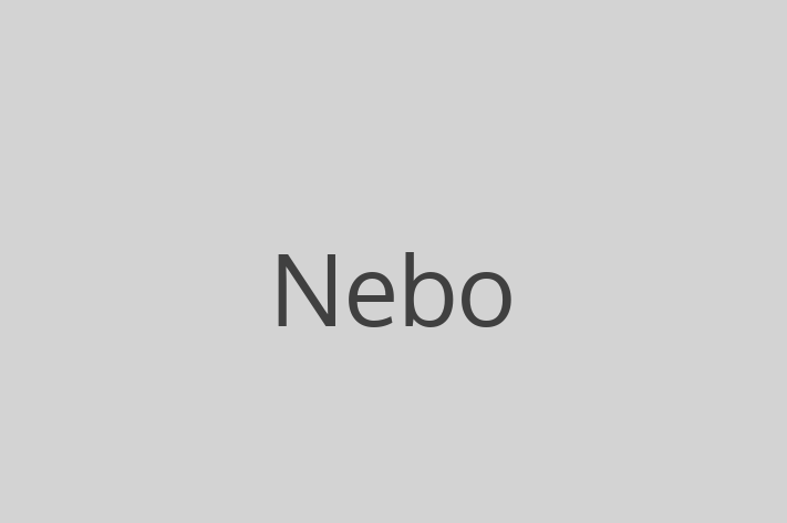 Software Solutions Provider Nebo