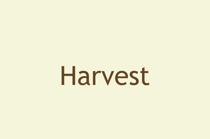 Technology Company Harvest