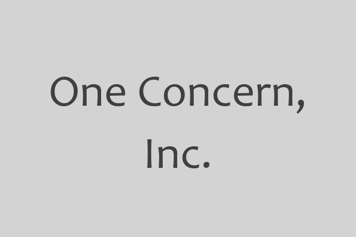 Software Services Company One Concern Inc.