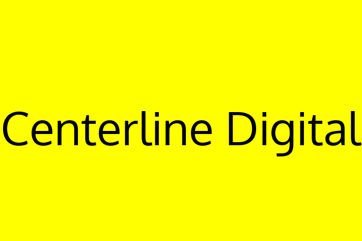 Tech Solutions Company Centerline Digital