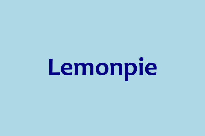 HR Administration Lemonpie