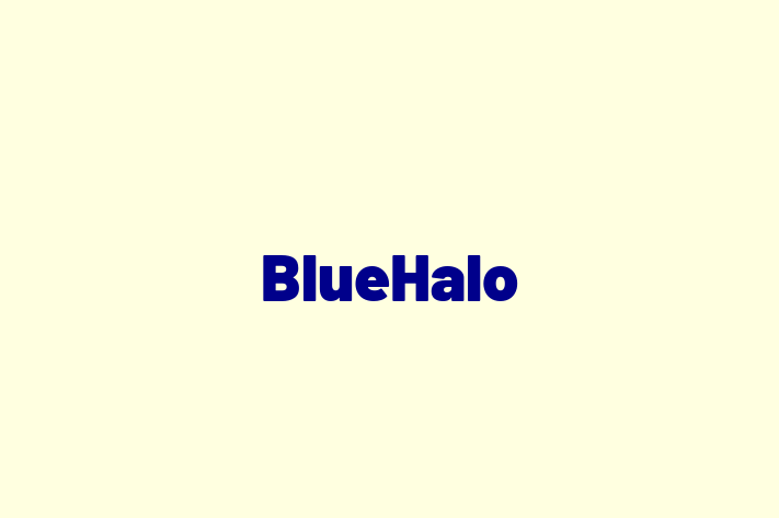 Employee Resource Management BlueHalo