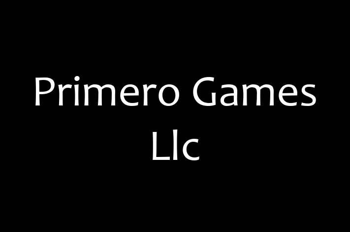 Tech Solutions Company Primero Games Llc