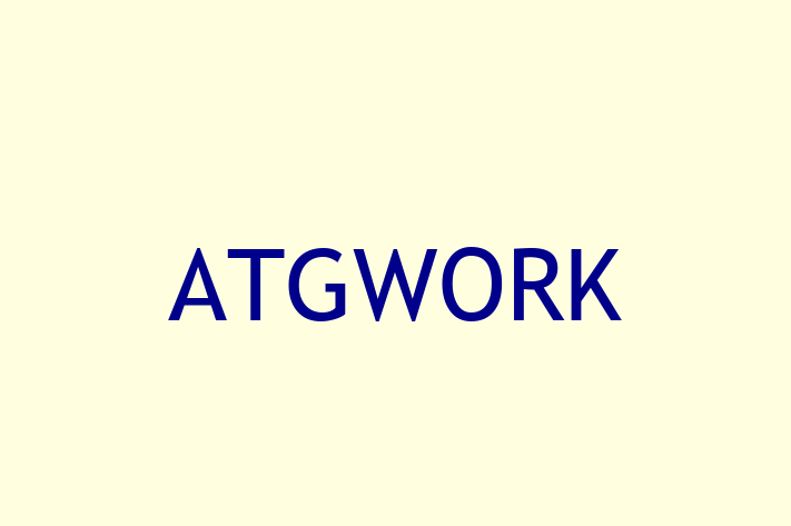 Application Development Company ATGWORK