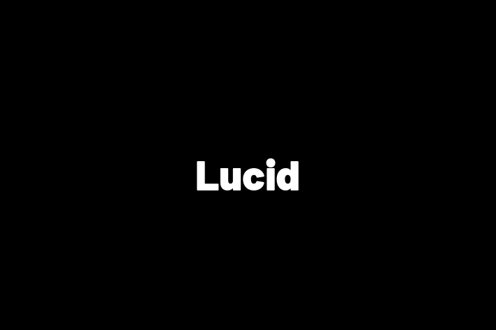 Software Firm Lucid