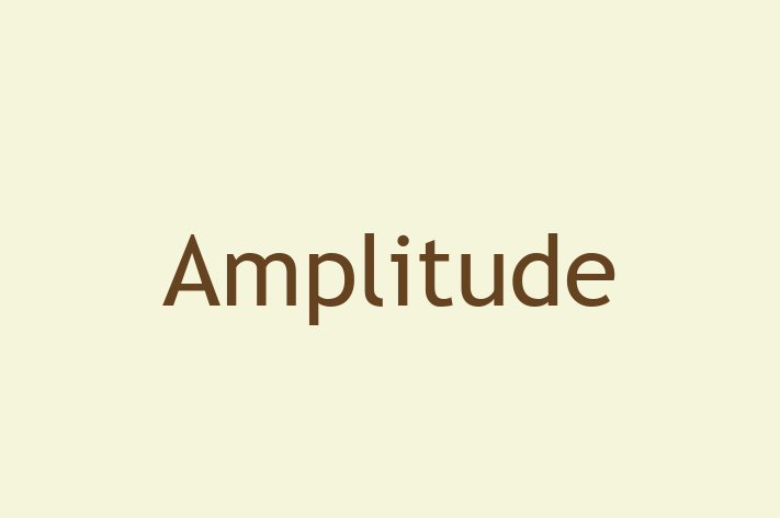 Software Firm Amplitude