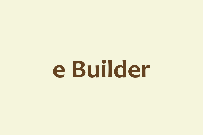 Technology Solutions Firm e Builder