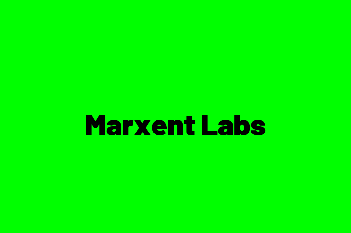 Tech Firm Marxent Labs