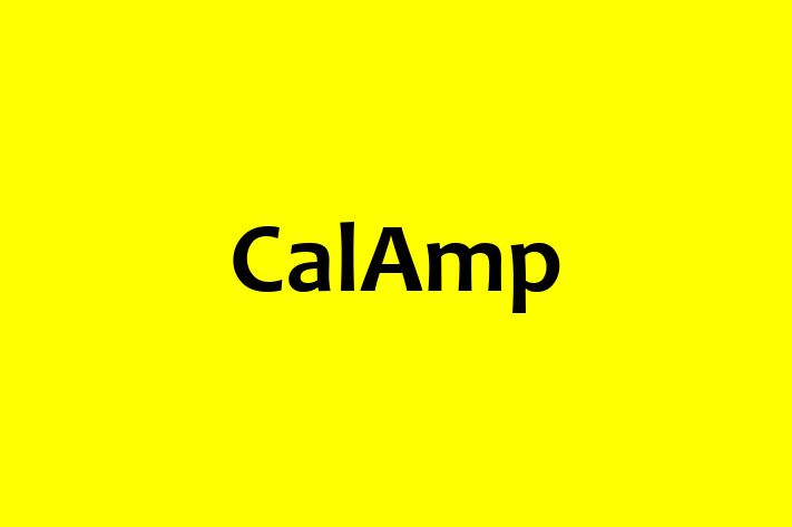 Software Consultancy CalAmp