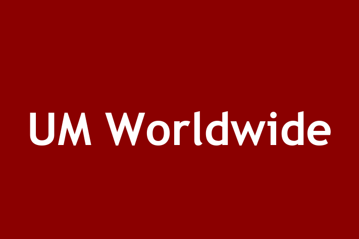 Software Services Company UM Worldwide