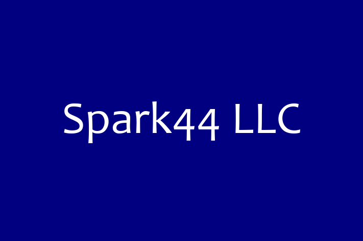 Software House Spark44 LLC