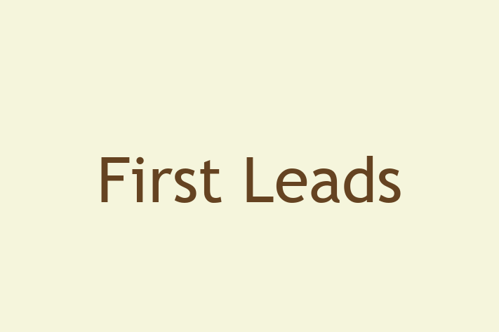 IT Company First Leads