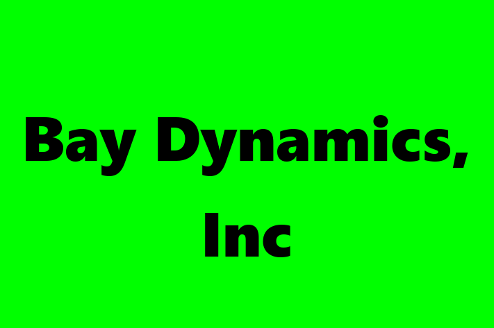 Software Consultancy Bay Dynamics Inc