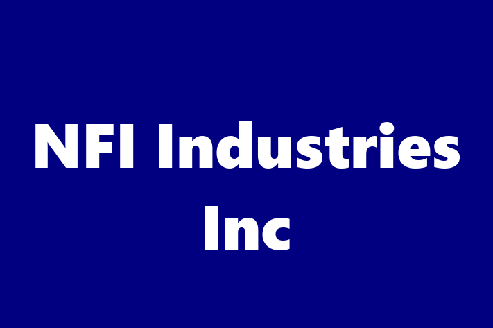 IT Company NFI Industries Inc