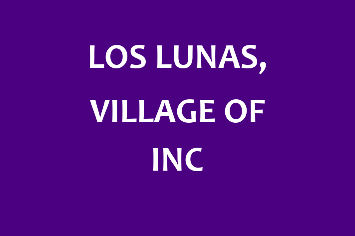 Human Capital Management LOS LUNAS VILLAGE OF INC