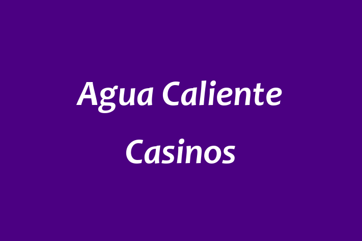 Staff Management Agua Caliente Casinos